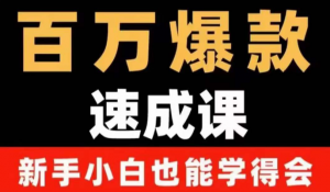 自媒体爆款指南：用数据思维做爆款，小白也能从0-1打造百万播放视频-欢迎访问本站